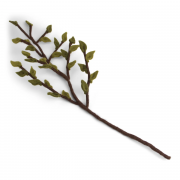 Zweig mit grünen Blättern aus Filz Gry & Sif